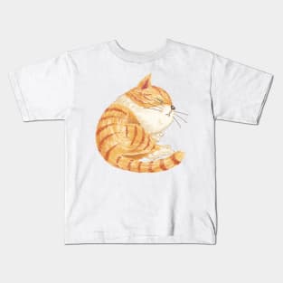 Tabby sleeping Kids T-Shirt